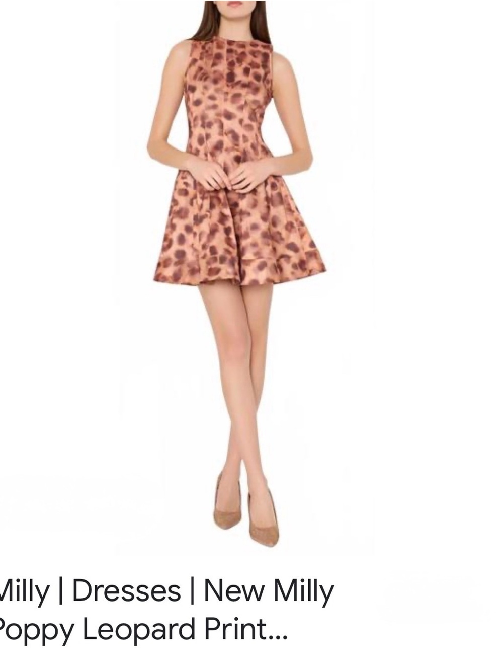 Milly Sleeveless Leopard-Print Fit-and-Flare Dress in Brown
